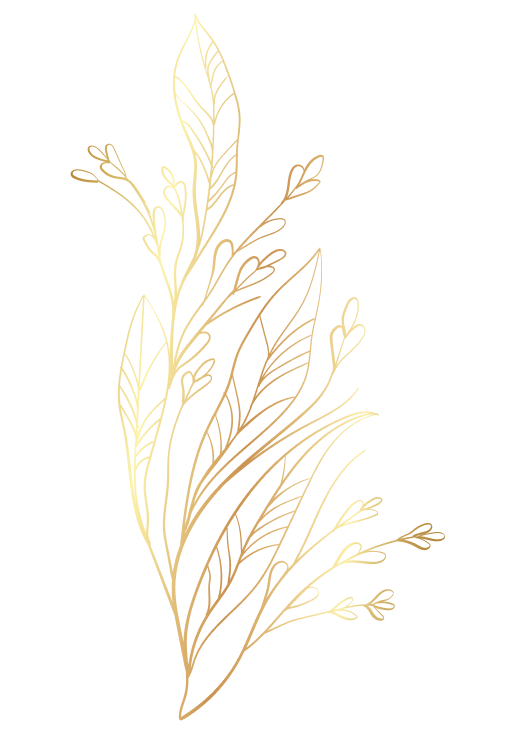 noveny